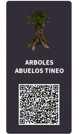 Tarjetas_Arboles_Abuelos Tarjetas_Arboles_Abuelos
