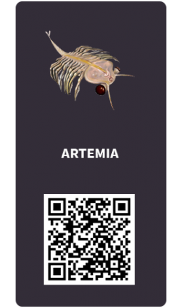Tarjetas_Artemia Tarjetas_Artemia