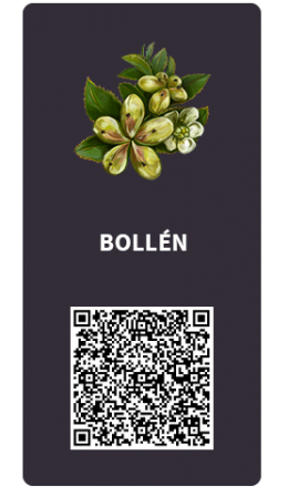 Tarjetas_Bollen Tarjetas_Bollen