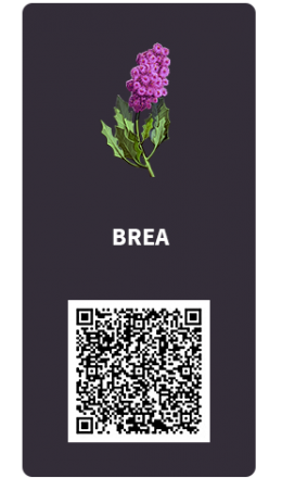 Tarjetas_Brea Tarjetas_Brea