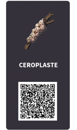 Tarjetas_Ceroplaste Tarjetas_Ceroplaste