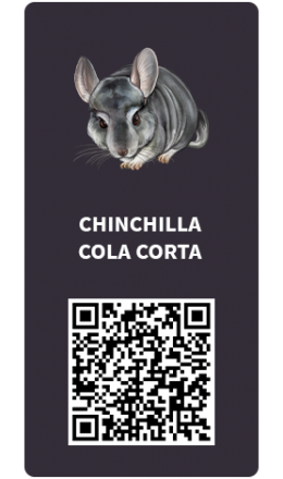 Tarjetas_Chinchilla-cola-corta Tarjetas_Chinchilla-cola-corta