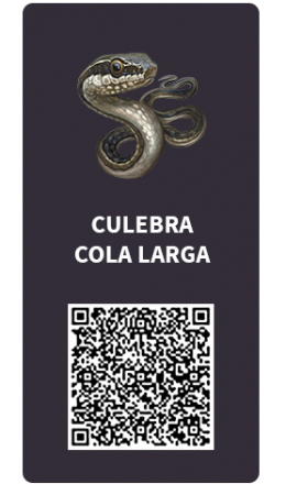 Tarjetas_Culebra_cola_larga Tarjetas_Culebra_cola_larga