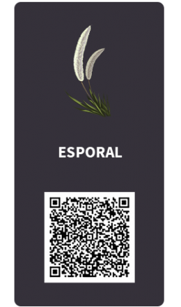 Tarjetas_Esporal Tarjetas_Esporal