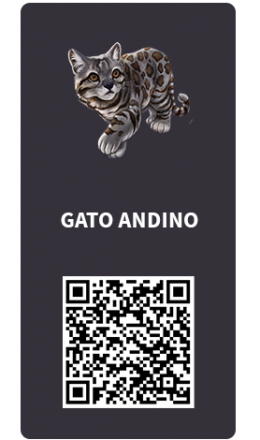 Tarjetas_Gato Andino Tarjetas_Gato Andino