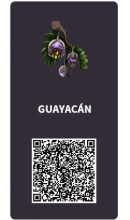 Tarjetas_Guayacan Tarjetas_Guayacan