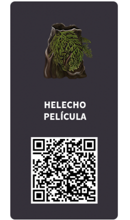 Tarjetas_Helecho Pelicula Tarjetas_Helecho Pelicula