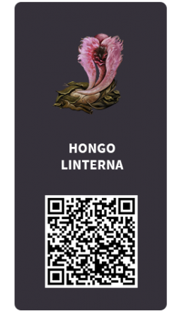 Tarjetas_Hongo linterna Tarjetas_Hongo linterna