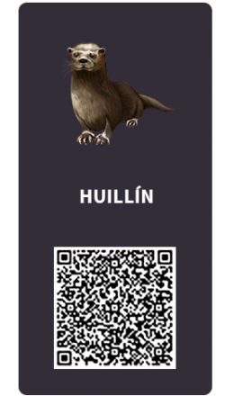 Tarjetas_Huillin Tarjetas_Huillin