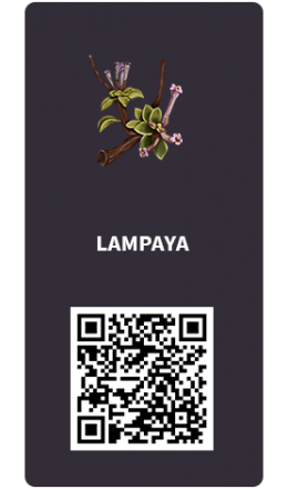 Tarjetas_Lampaya Tarjetas_Lampaya