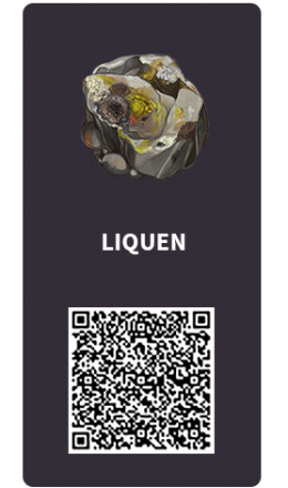 Tarjetas_Liquen Tarjetas_Liquen