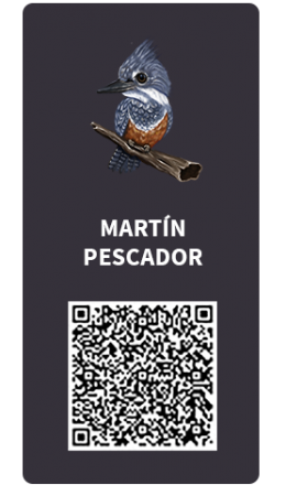 Tarjetas_Martin Pescador Tarjetas_Martin Pescador