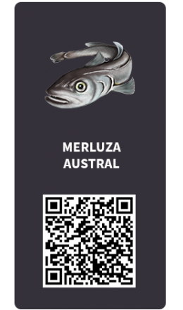 Tarjetas_Merluza austral (le puse el apellido austral) Tarjetas_Merluza austral (le puse el apellido austral)