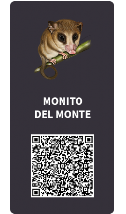 Tarjetas_Monito del monte Tarjetas_Monito del monte