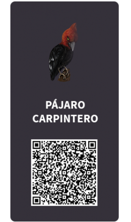Tarjetas_Pajaro carpintero Tarjetas_Pajaro carpintero
