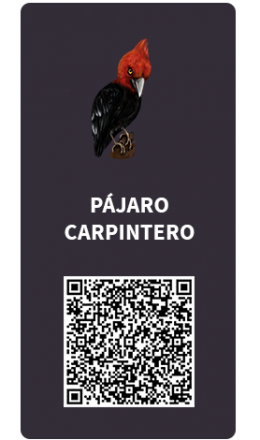 Tarjetas_Pajaro_Carpintero Tarjetas_Pajaro_Carpintero
