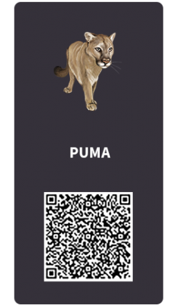 Tarjetas_Puma Tarjetas_Puma