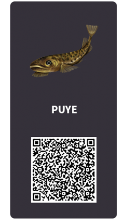 Tarjetas_Puye Tarjetas_Puye