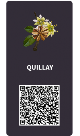 Tarjetas_Quillay Tarjetas_Quillay