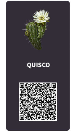 Tarjetas_Quisco Tarjetas_Quisco