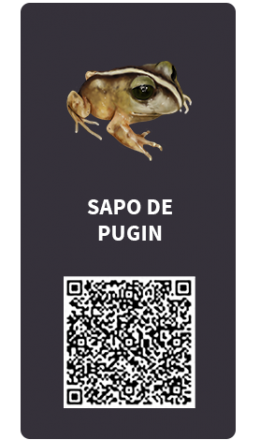 Tarjetas_Sapo de Pugin Tarjetas_Sapo de Pugin