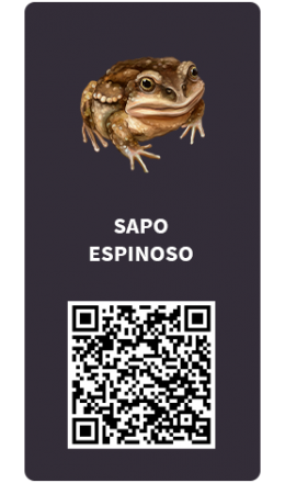 Tarjetas_Sapo-espinoso Tarjetas_Sapo-espinoso