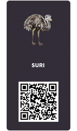 Tarjetas_Suri Tarjetas_Suri