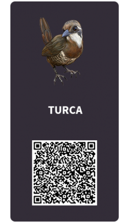 Tarjetas_Turca Tarjetas_Turca