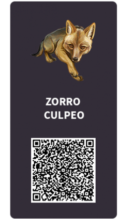 Tarjetas_Zorro_culpeo Tarjetas_Zorro_culpeo