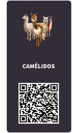 Tarjetas_camelidos Tarjetas_camelidos