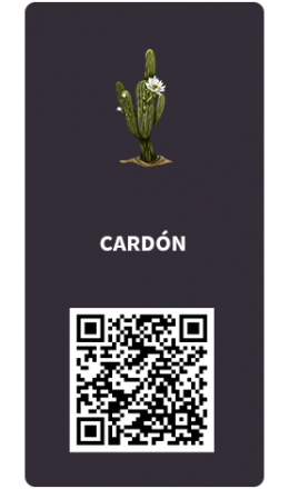 Tarjetas_cardon Tarjetas_cardon