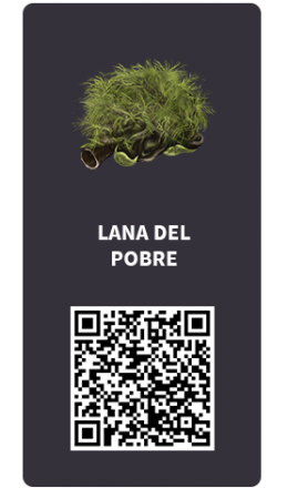Tarjetas_lana del pobre Tarjetas_lana del pobre