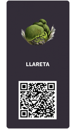 Tarjetas_llareta Tarjetas_llareta