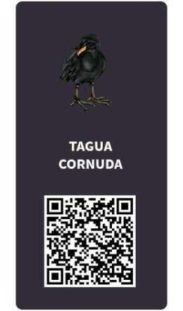 Tarjetas_tagua-cornuda Tarjetas_tagua-cornuda