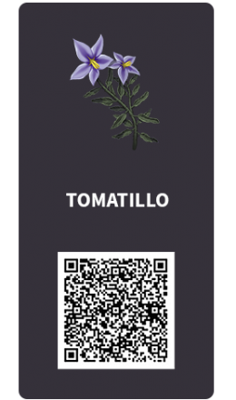 Tarjetas_tomatillo Tarjetas_tomatillo