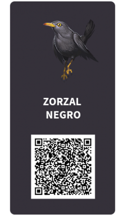 Tarjetas_zorzal negro Tarjetas_zorzal negro