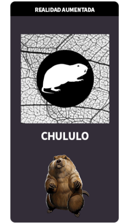 TARJETAS RA CHULULO TARJETAS RA CHULULO