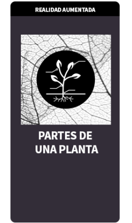 TARJETAS RA PARTES DE UNA PLANTA TARJETAS RA PARTES DE UNA PLANTA