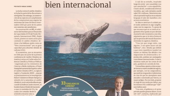 [DF] Experto del FMI propone declarar a la ballena azul como un bien internacional – Diario Financiero