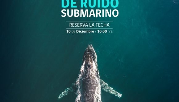 I Seminario de ruido submarino