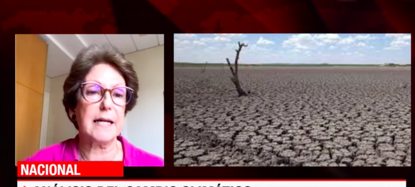 [EMOL] Entrevista a Thelma Krug Vice presidenta IPCC en la  2da Conferencia Cambio Climático